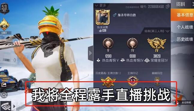 深入了解和平精英辅助现象：技术创新与社会影